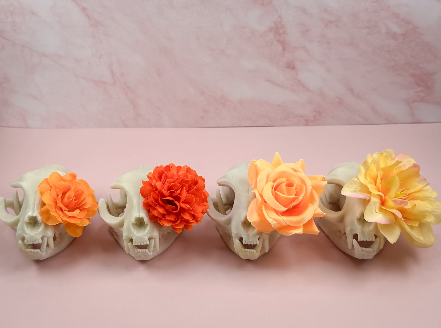 Mega coffret Samhain – Édition Limitée